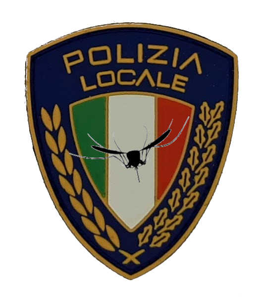Badge del capo della Polizia